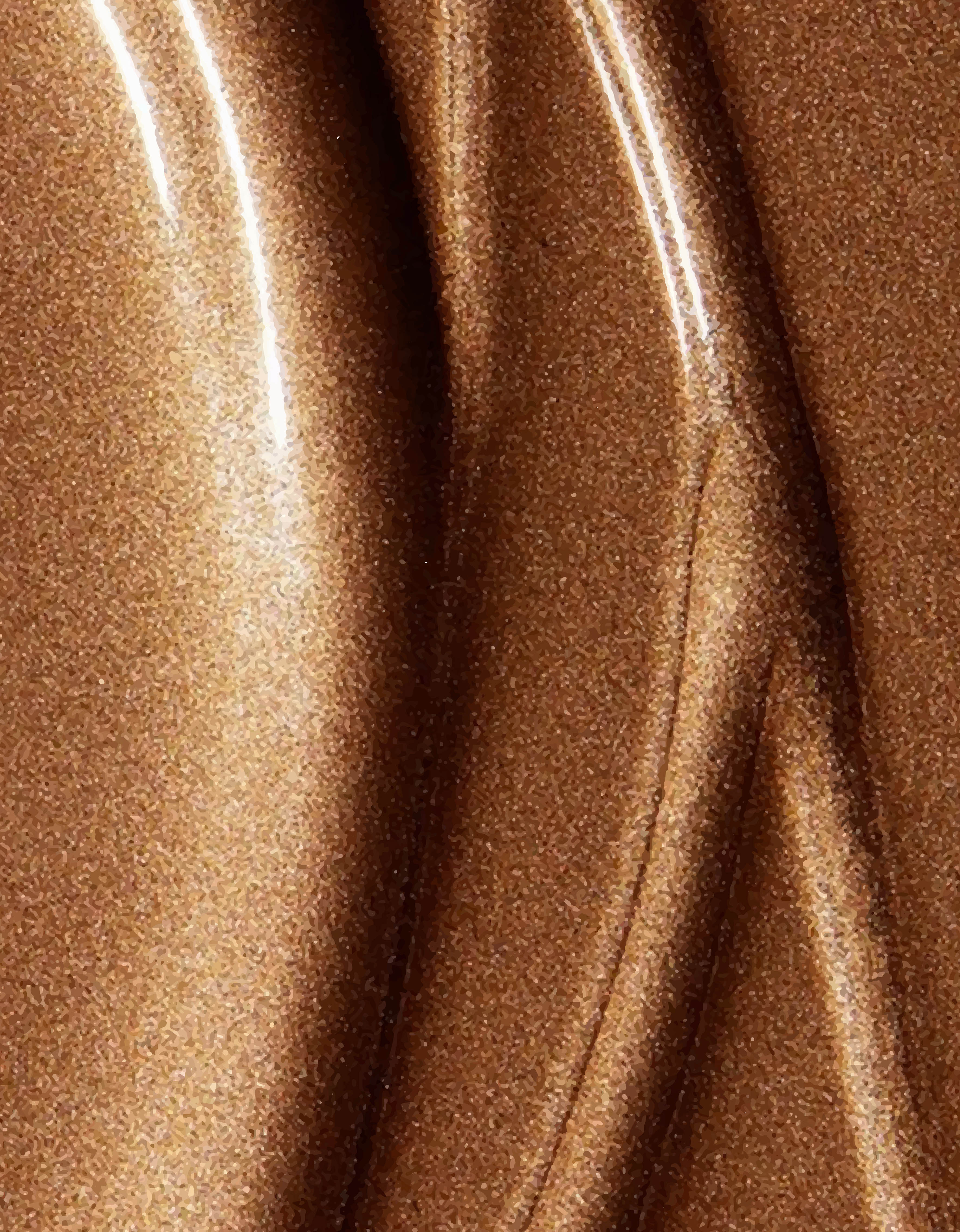 bronzy_8aba03ca-1e40-432f-aada-d5659b9767a5.jpg